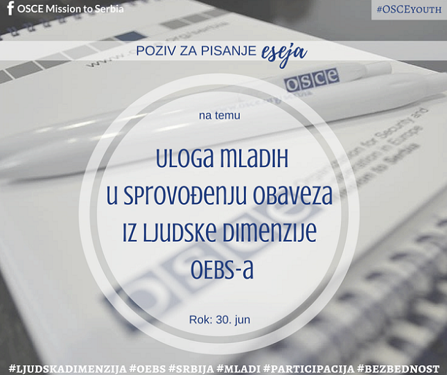 Call for essays VISUAL
